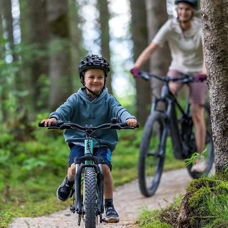 Mama By Interhome * Haus im Ennstal