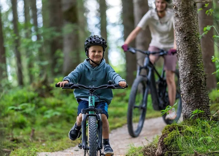 Mama By Interhome * Haus im Ennstal